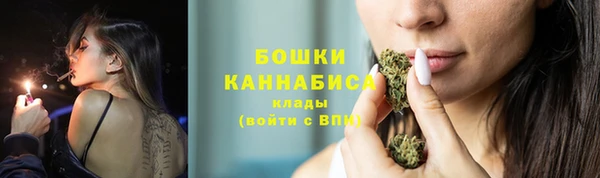 ECSTASY Майский