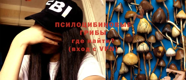 ECSTASY Майский